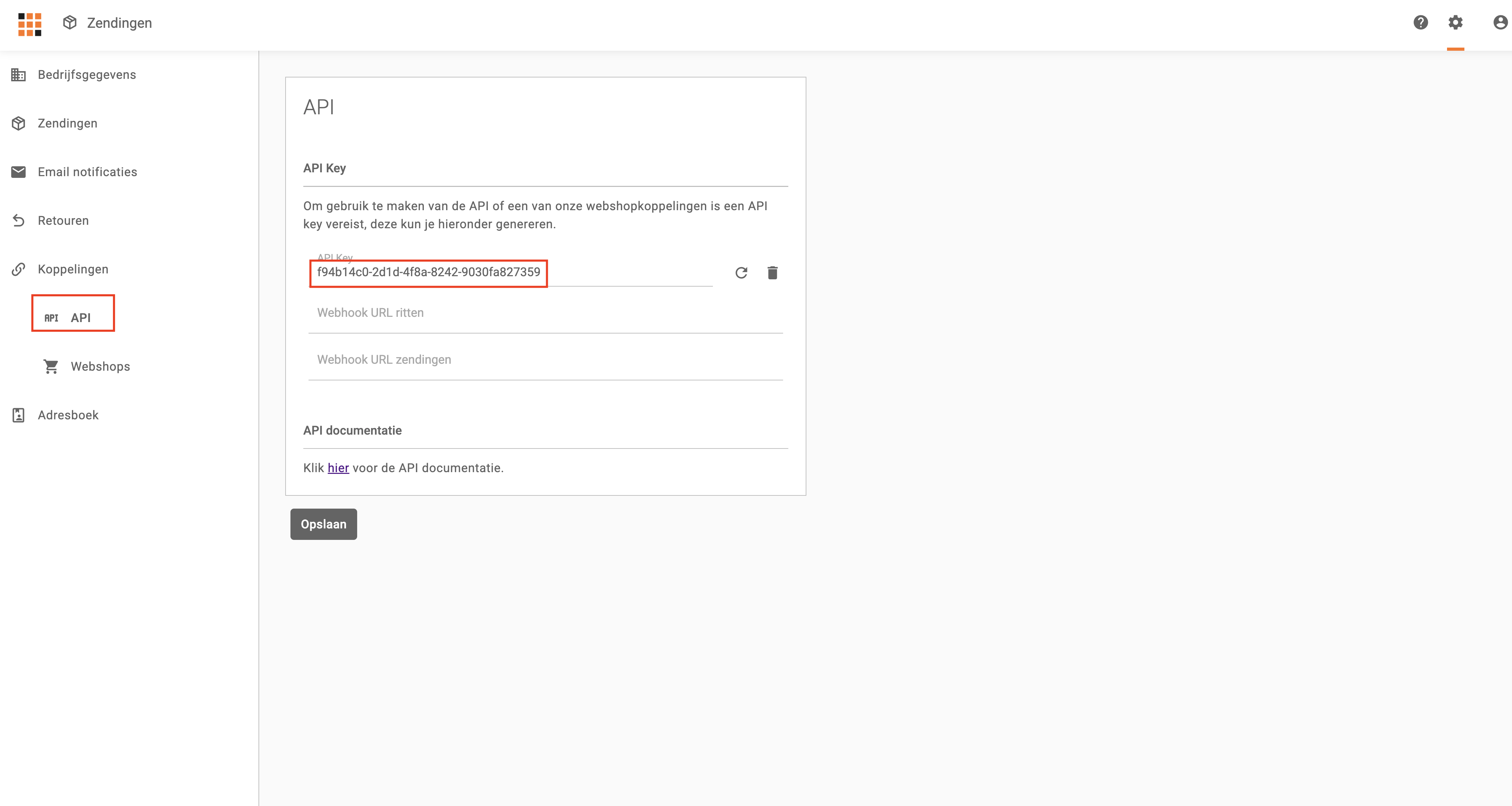 Het scherm waarin de API key gekopieerd kan worden