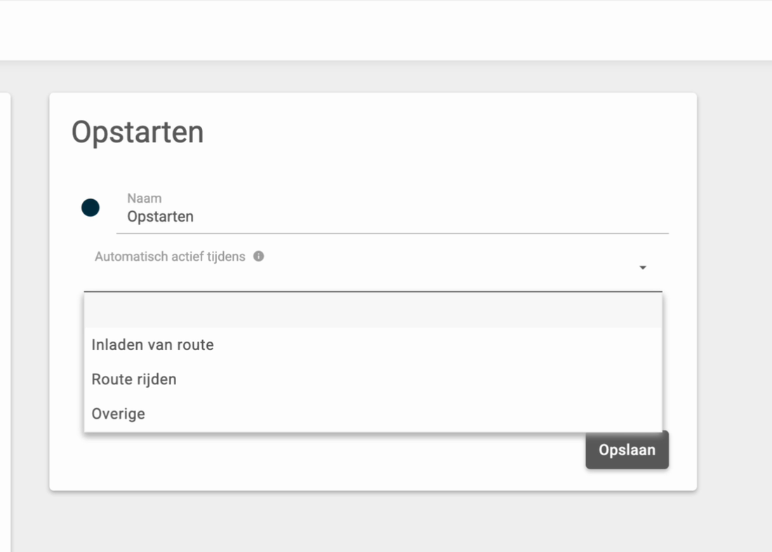 Het formulier van een activiteit met de keuze Automatisch actief tijdens